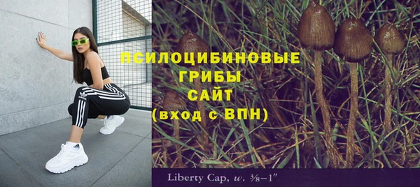кокс Алзамай