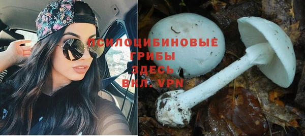 прущий лед Алексин