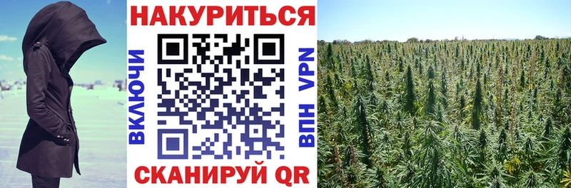 Каннабис марихуана  блэк спрут ссылка  Орёл 